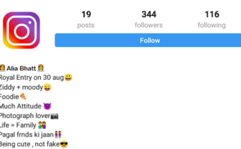 instagram bios