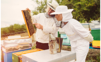 Beekeeping Overall