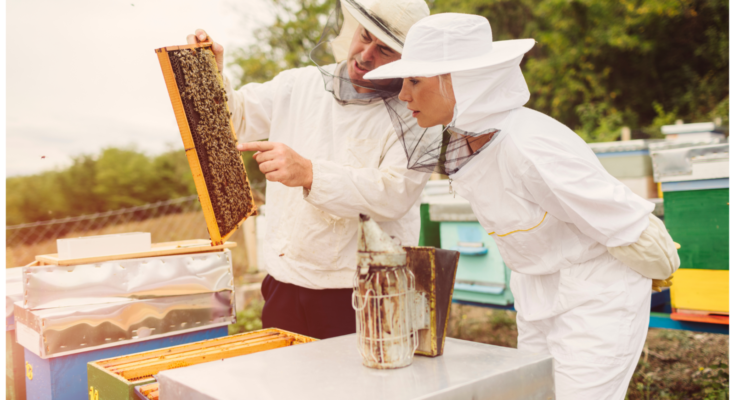 Beekeeping Overall