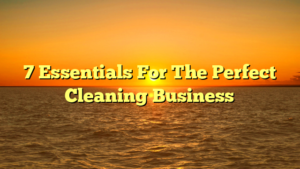 7 Essentials For The Perfect Cleaning Business